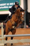 Hengstencompetitie 2009