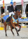 dax vd abdijhoeve
